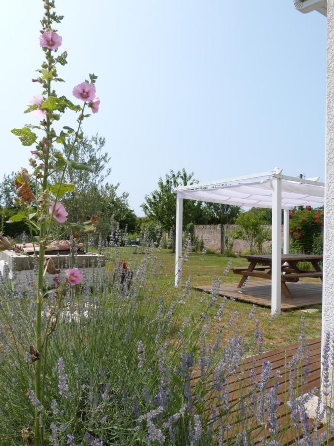 Gite Le Cherche Midi Gaillac Exteriör bild